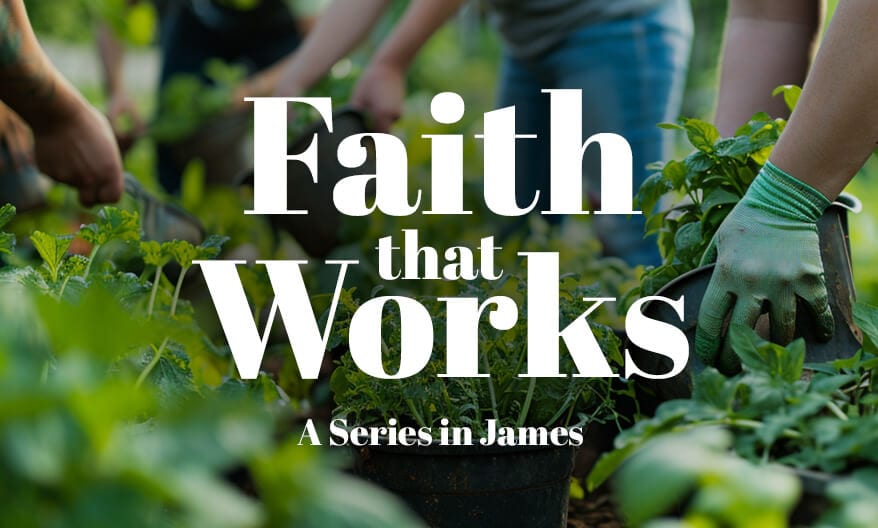 Faith that Works: A Series in James
